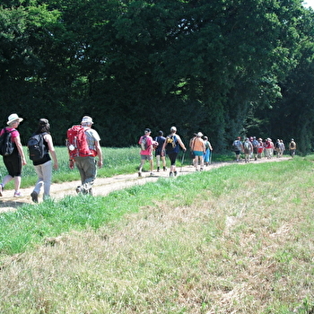 Les Bois de Brussey - BRUSSEY