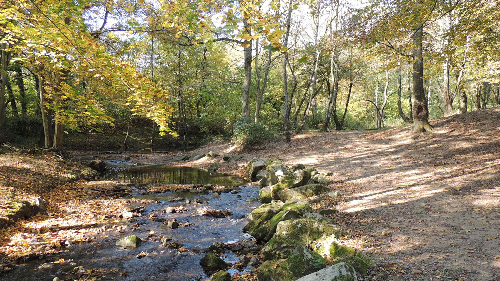 Circuit VTT 200 - Le Garon