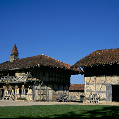 Itinérance L'Ain à Vélo - Du bocage bressan aux étangs de La Dombes (7 jours)