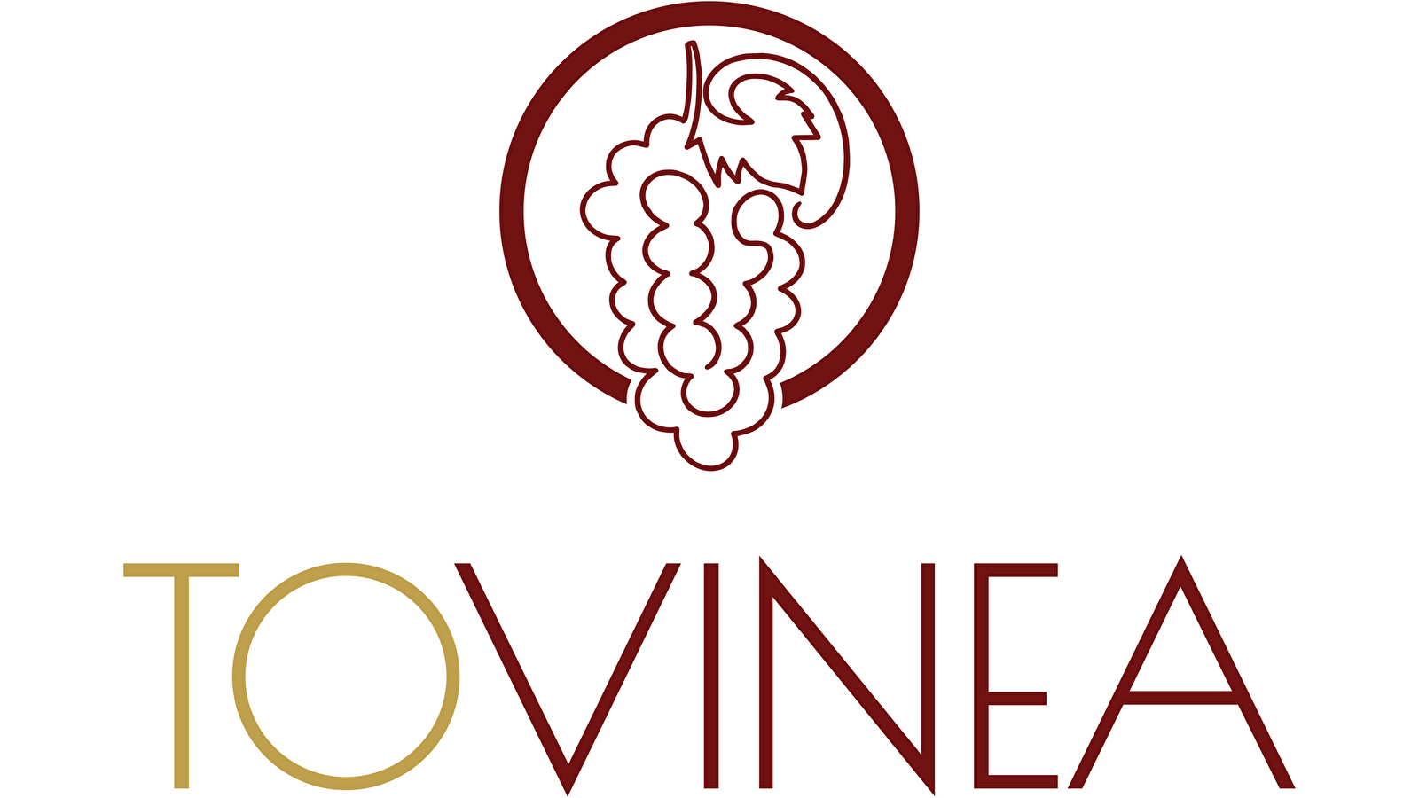 Visite guidée au Domaine Vincent Royet