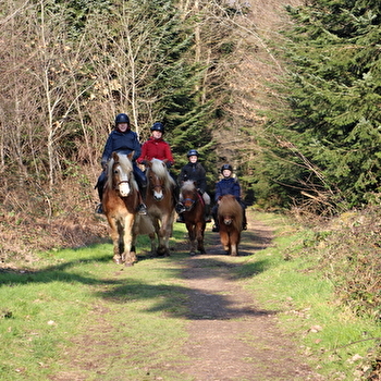 La Ferme du Bois Dieu - AVALLON
