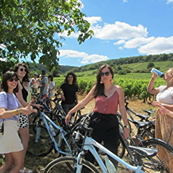 VELOVITAMINE Balade oenologique sur la Côte de Beaune Grand Cru - POMMARD