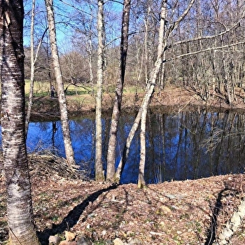 Retour aux Sources - BELONCHAMP