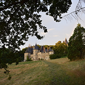 Château de Tracy - TRACY-SUR-LOIRE
