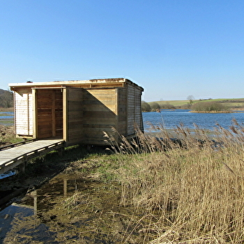 A la découverte des zones humides du marais de la Druyes ! - SAINT-GEORGES-SUR-BAULCHE