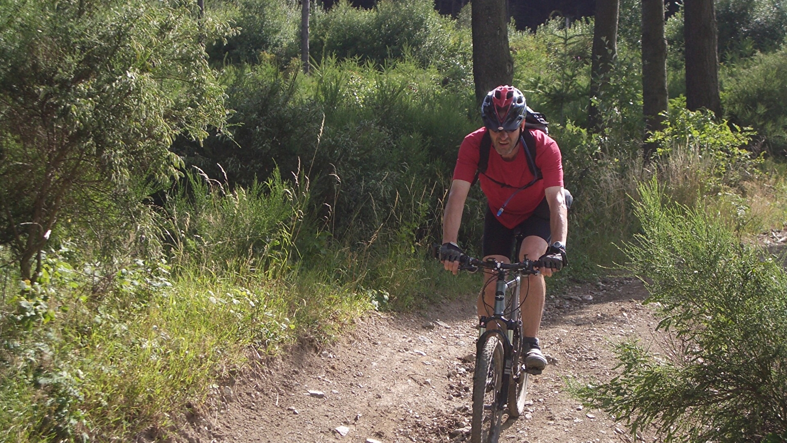 Circuit VTT M8 de St Mamert à Ouroux