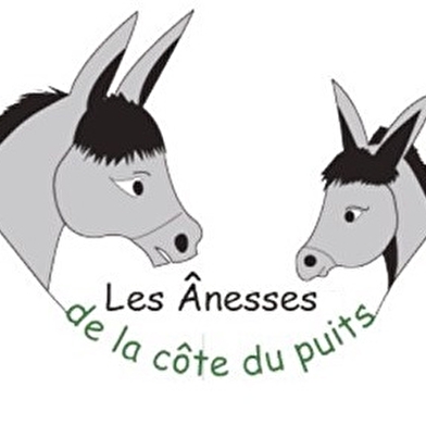 LES ANESSES DE LA CÔTE DU PUITS