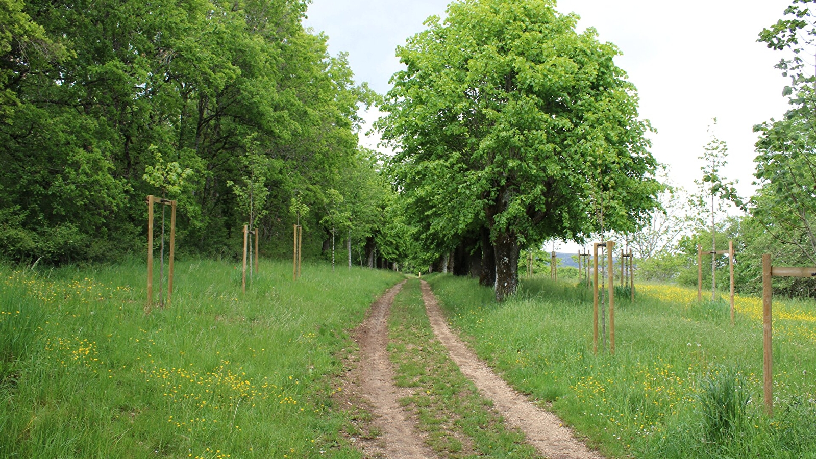 Aire de pique-nique de Couchey 2