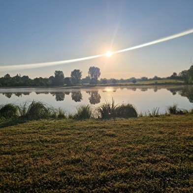 Etang communal Les Prés de la Vavre
