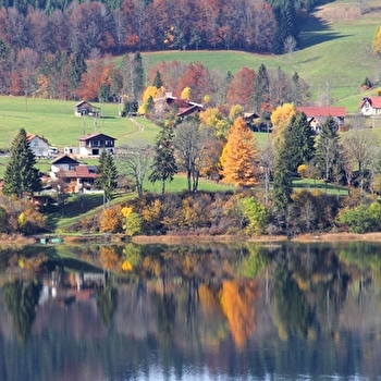 La Fuvelle - n°6 - MALBUISSON