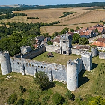 Le tour du château fort...sans le quitter des yeux - DRUYES-LES-BELLES-FONTAINES