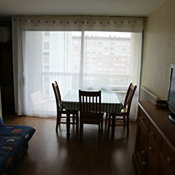 Les Lions du parc Trimolet - DIJON