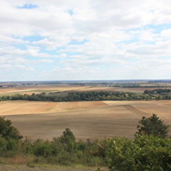 Mont Lassois - VIX