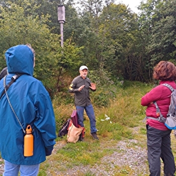 Forêt En Tous Sens - ELOIE