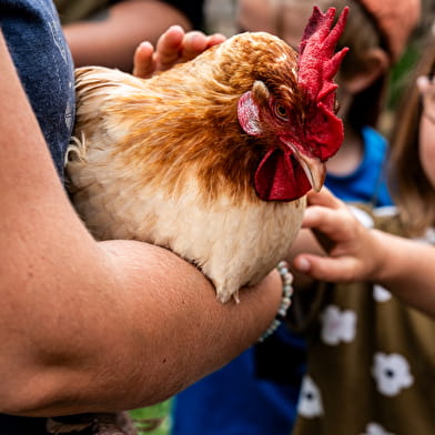 Association la Ferme des Irréductibles