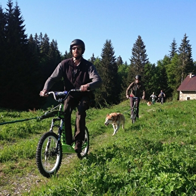 Free sled - Chiens de traîneaux / cani-rando et cani-trotinette