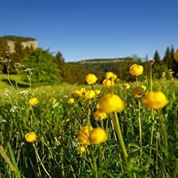 Tour du Mont Fier - 21R - PREMANON