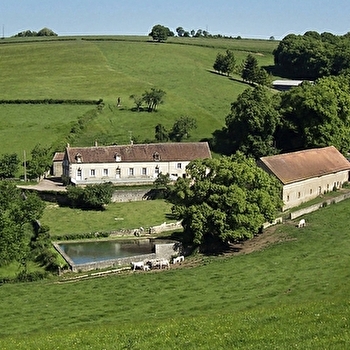 Chambres d'hôtes Domaine de Drémont - ANTHIEN