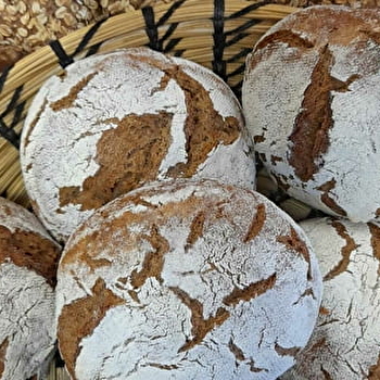 Le Pain en Chantant - CENSEAU