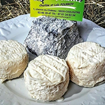 Caprices des chèvres - COULOUTRE