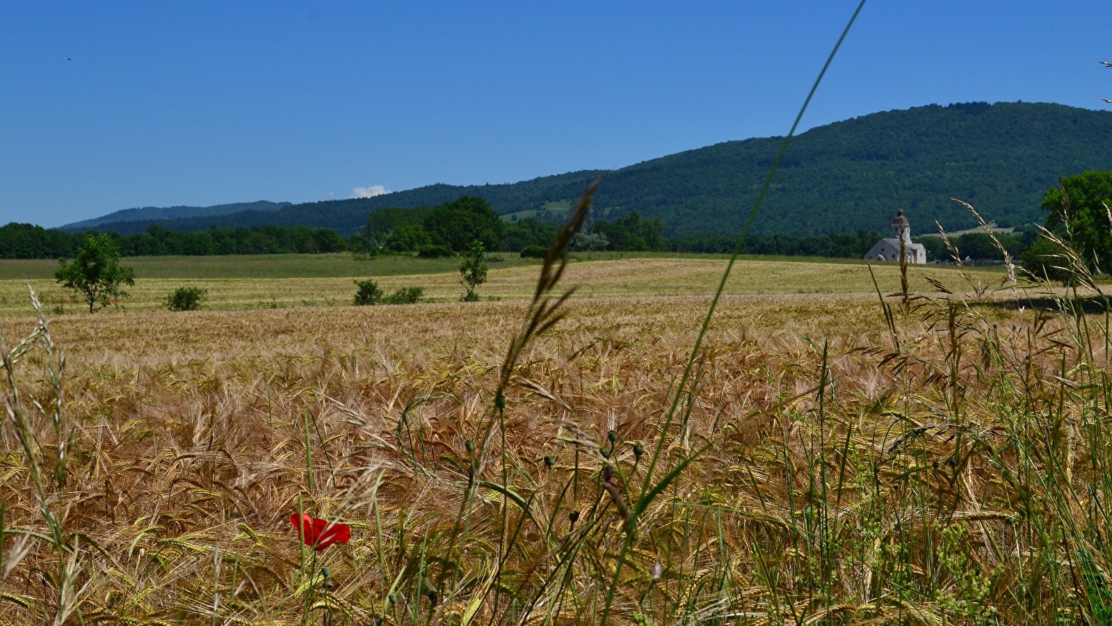La Valousienne - 52N