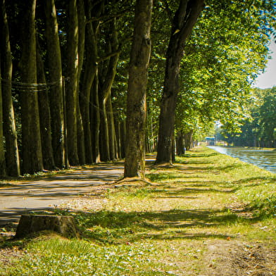 La véloroute de Nevers au pont canal du Guétin