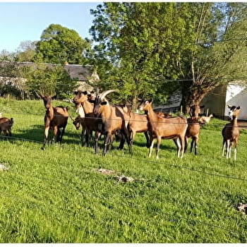 Fromagerie de Siloé - VILLAPOURCON
