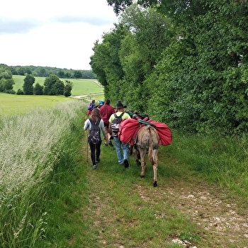 Donkey'Ane - SAINT-GERMAIN-LE-ROCHEUX