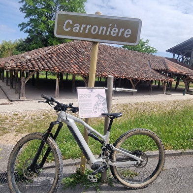 Circuit VTT-VTC n°19 (rouge) La Bresse de St Trivier