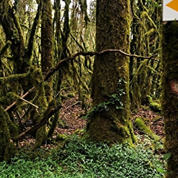 Parcours VTT 6 rouge - Les Enfants du Marais - Espace FFC Ain Forestière - BELLEY