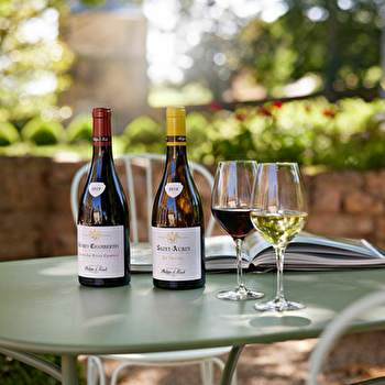 Château Philippe le Hardi - Dégustation 'Naturellement Hardi' - SANTENAY