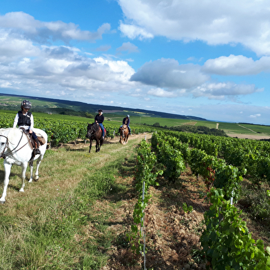 À Cheval dans l'Yonne