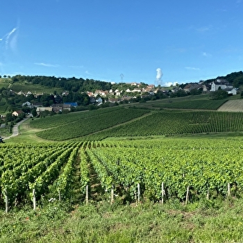 L'écrin des vignes - MONTAGNY-LES-BUXY