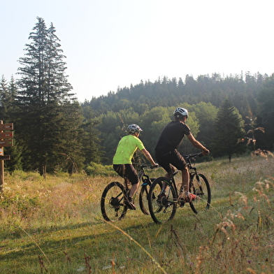 Parcours VTT 63 bleu - La Borne des 3 Cantons - Espace VTT Ain Forestière