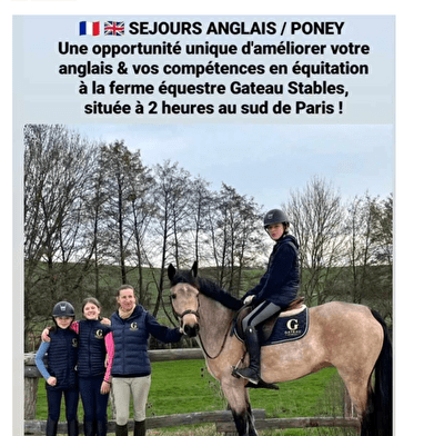 Stages d'équitation en Anglais weekend ou à la semaine
