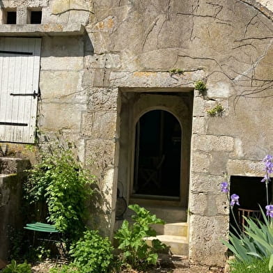 La Plante - Le Logis du Tilleul