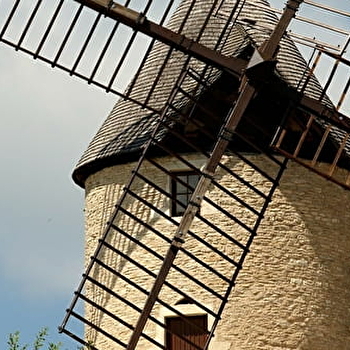 Visite guidée « à la découverte du moulin & du vignoble de Santenay » - SANTENAY