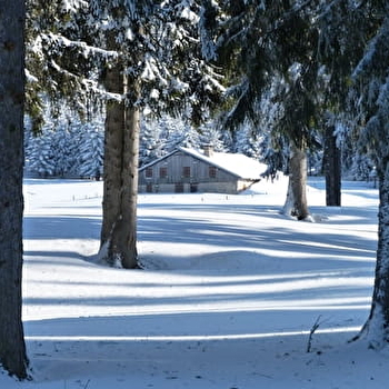 Site Raquettes de Mouthe - Chez Liadet - MOUTHE
