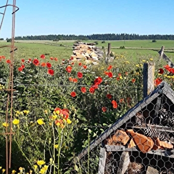  Annabelle 'aire d'accueil privée du Jura Vert' - BOUJAILLES