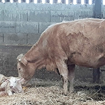 GAEC des Acajous - MONTARON