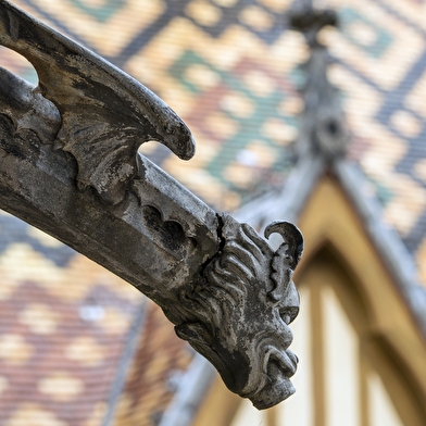 Hôtel-Dieu - Hospices de Beaune - Visite guidée insolite > Dans les coulisses de l'Hôtel Dieu : un patrimoine hospitalier & viticole