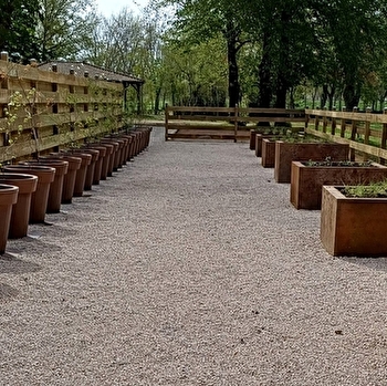 Visite du pollinarium sentinelle - PARAY-LE-MONIAL