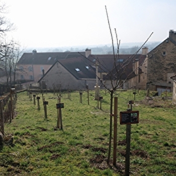 Verger conservatoire de Gemeaux - Gemeaux