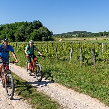 Le Zed Jurassien - SAINT-LAURENT-EN-GRANDVAUX