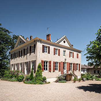 Le Moulin-à-Vent : de la vigne au chai - ROMANECHE-THORINS