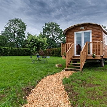 Roulotte Fraise - MACONGE