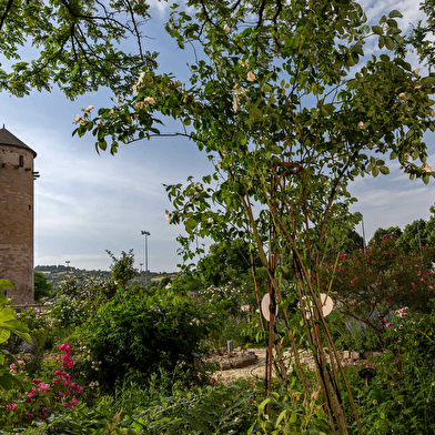 La Roseraie de Cluny