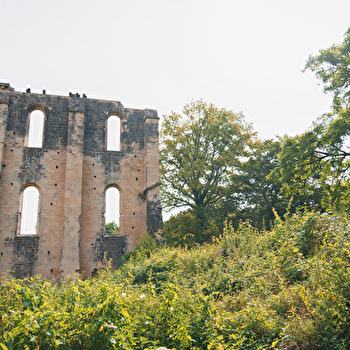 Vestiges de l'Abbaye de Cherlieu - MONTIGNY-LES-CHERLIEU