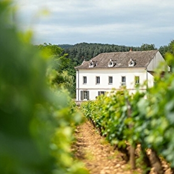 Le Gîte du Château - MERCUREY