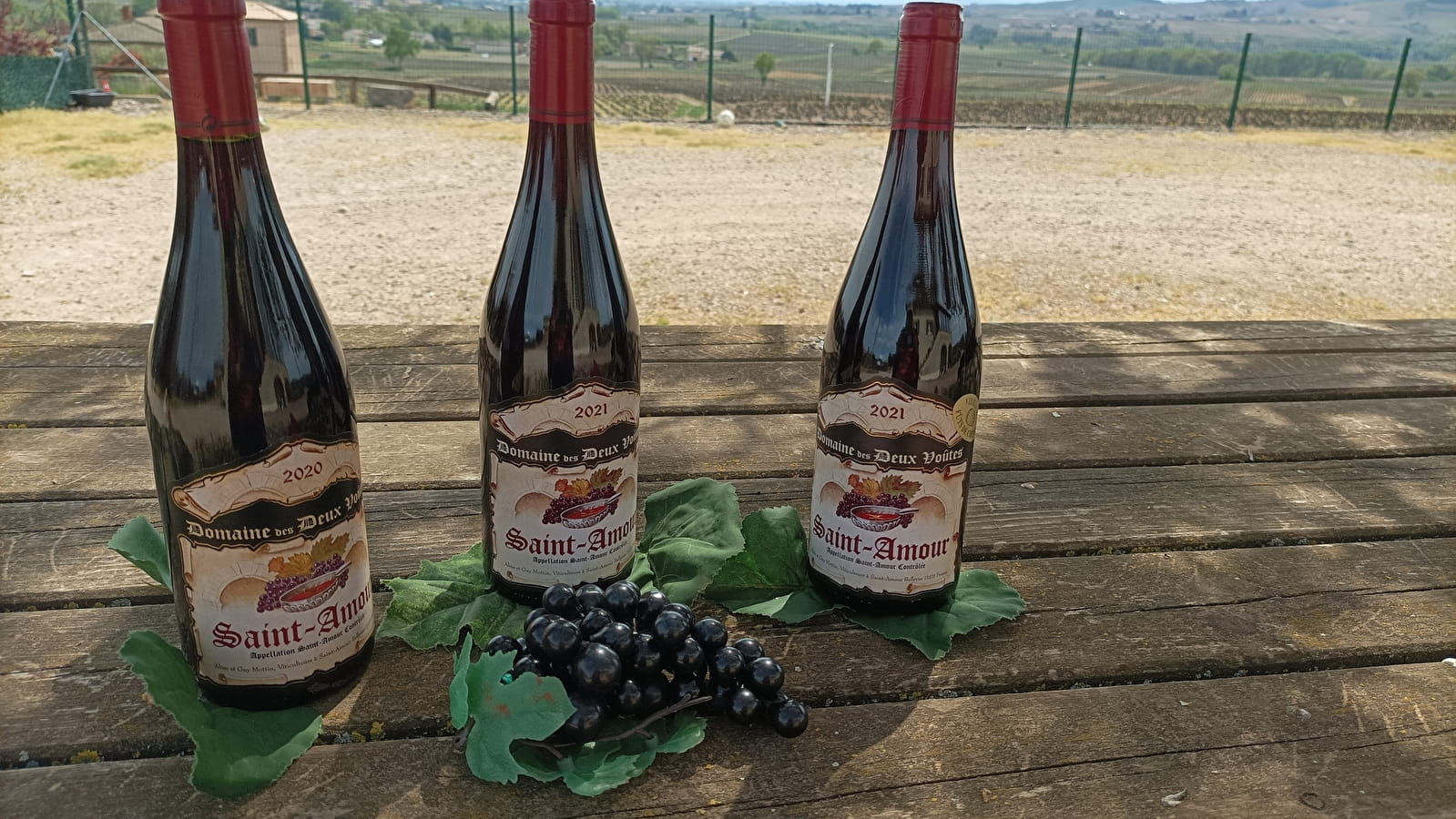 Domaine des deux voutes